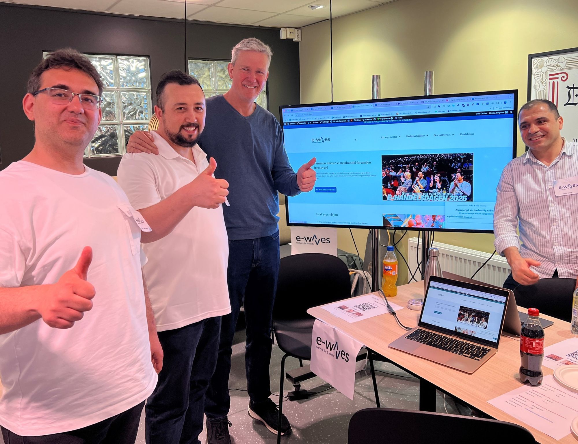 Nettside for E-Waves